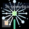 PG电子 logo